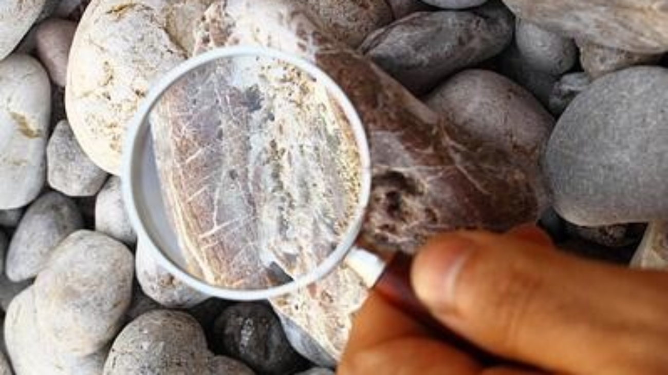 a hand holding a magnifying glass over rocks