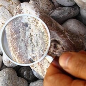 a hand holding a magnifying glass over rocks